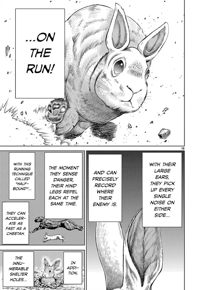 Killing Bites Chapter 19 image 19_optimized
